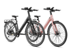Combo EC 1-ST