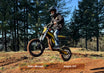 Heybike Elektro-Dirtbike