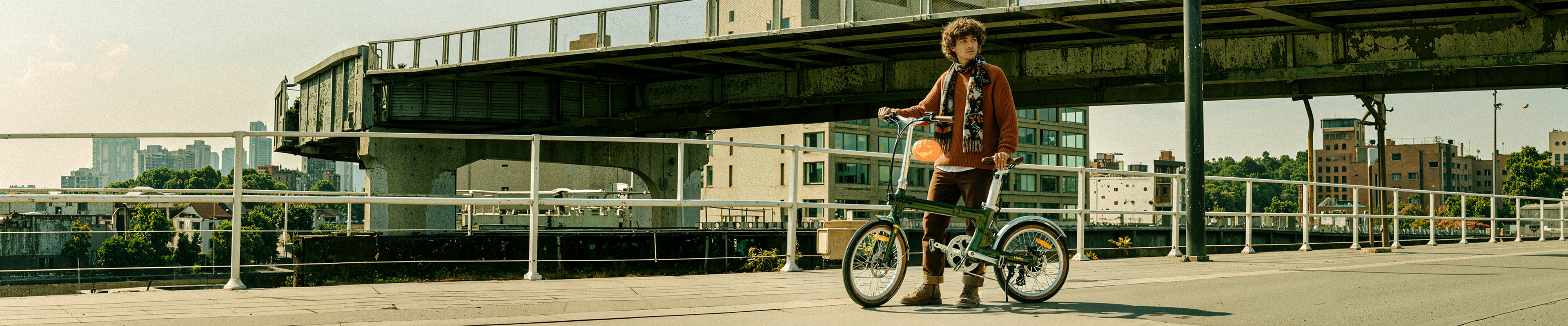 Electric Bikes