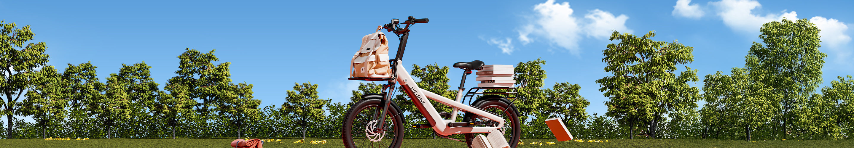Electric Bikes